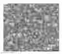 Fig. 01 - Rhenium nanostructures
