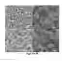 Fig. 06 - Rhenium nanostructures