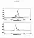 Fig. 03 - Cellulosic biocomposites as molecular scaffolds for nano-architectures