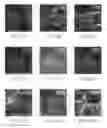 Fig. 04 - Cellulosic biocomposites as molecular scaffolds for nano-architectures