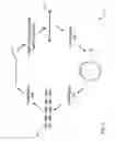 Fig. 04 - Methods and Oligonucleotide Designs for Insertion of Multiple Adaptors Employing Selective Methylation