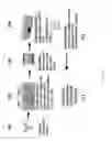 Fig. 04 - HIGH THROUGHPUT APPROACH TO FORMULATION USING PRE-DESIGNED FORMULATION PLATES