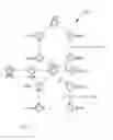 Fig. 08 - Methods for sequencing a biomolecule by detecting relative positions of hybridized probes