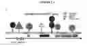 Fig. 02 - BRM Expression and Related Diagnostics