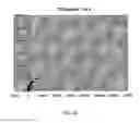 Fig. 05 - MEANS AND METHODS FOR RECOGNIZING THE DEVELOPMENT OF CARDIOVASCULAR DISEASE IN AN INDIVIDUAL