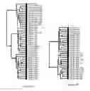 Fig. 10 - Expression of MBNL2 and Other Genes Associated with Bladder Cancer Progression