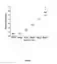 Fig. 02 - METHODS OF DETECTING AUTOANTIBODIES FOR DIAGNOSING AND CHARACTERIZING DISORDERS