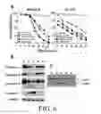 Fig. 08 - Agents and methods related to reducing resistance to apoptosis-inducing death receptor agonists
