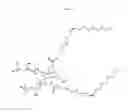 Fig. 05 - Polyglyceryl compounds and compositions