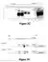 Fig. 04 - METHODS FOR DETECTING A POLYMORPHISM IN THE NFKB1 GENE PROMOTER
