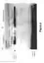 Fig. 09 - METHODS FOR DETECTING A POLYMORPHISM IN THE NFKB1 GENE PROMOTER