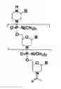 Fig. 01 - ANTISENSE ANTIBACTERIAL COMPOUNDS AND METHODS