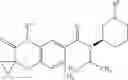 Fig. 362 - N-substituted-cyclic amino derivative