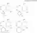 Fig. 45 - N-substituted-cyclic amino derivative