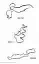 Fig. 03 - Modified TGF-β superfamily protein