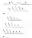 Fig. 07 - Method for site-specific polyvalent display on polymers