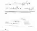 Fig. 08 - Method for site-specific polyvalent display on polymers