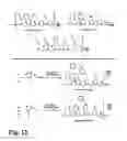 Fig. 11 - Method for site-specific polyvalent display on polymers