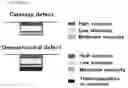 Fig. 02 - SUBSTRATE FOR CARTILAGE CULTIVATION USING ARTIFICIAL COLLAGEN, AND METHOD FOR CARTILAGE REGENERATION TREATMENT USING THE SUBSTRATE