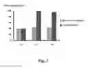 Fig. 04 - SUBSTRATE FOR CARTILAGE CULTIVATION USING ARTIFICIAL COLLAGEN, AND METHOD FOR CARTILAGE REGENERATION TREATMENT USING THE SUBSTRATE