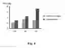 Fig. 05 - SUBSTRATE FOR CARTILAGE CULTIVATION USING ARTIFICIAL COLLAGEN, AND METHOD FOR CARTILAGE REGENERATION TREATMENT USING THE SUBSTRATE
