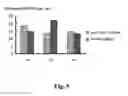Fig. 06 - SUBSTRATE FOR CARTILAGE CULTIVATION USING ARTIFICIAL COLLAGEN, AND METHOD FOR CARTILAGE REGENERATION TREATMENT USING THE SUBSTRATE