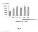 Fig. 10 - SUBSTRATE FOR CARTILAGE CULTIVATION USING ARTIFICIAL COLLAGEN, AND METHOD FOR CARTILAGE REGENERATION TREATMENT USING THE SUBSTRATE