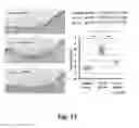 Fig. 14 - SUBSTRATE FOR CARTILAGE CULTIVATION USING ARTIFICIAL COLLAGEN, AND METHOD FOR CARTILAGE REGENERATION TREATMENT USING THE SUBSTRATE