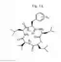 Fig. 02 - Cyclic peptide antitumor agents