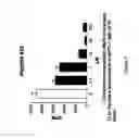 Fig. 07 - Cyclic peptide antitumor agents