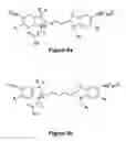 Fig. 14 - Long-Acting DNA Dendrimers and Methods Thereof