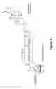 Fig. 17 - Long-Acting DNA Dendrimers and Methods Thereof