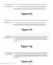 Fig. 19 - Long-Acting DNA Dendrimers and Methods Thereof