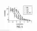 Fig. 07 - ALPHA-CONOTOXIN MII ANALOGS