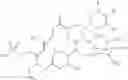 Fig. 42 - Macrolide synthesis process and solid-state forms