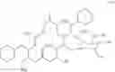 Fig. 52 - Macrolide synthesis process and solid-state forms