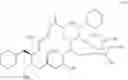 Fig. 53 - Macrolide synthesis process and solid-state forms