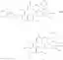 Fig. 71 - Macrolide synthesis process and solid-state forms
