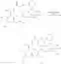 Fig. 72 - Macrolide synthesis process and solid-state forms