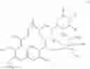 Fig. 83 - Macrolide synthesis process and solid-state forms