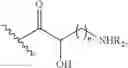 Fig. 06 - Antibacterial aminoglycoside analogs