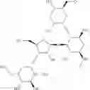 Fig. 35 - Antibacterial aminoglycoside analogs