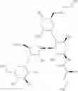 Fig. 38 - Antibacterial aminoglycoside analogs