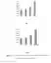 Fig. 02 - ANTI-AGING AGENT