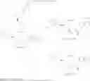 Fig. 07 - Lung-targeted drugs