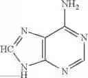 Fig. 33 - GUANINE RIBOSWITCH BINDING COMPOUNDS AND THEIR USE AS ANTIBIOTICS