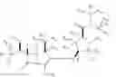 Fig. 06 - DEUTERIUM-ENRICHED MEROPENEM