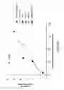 Fig. 07 - Small molecule CD4 mimetics and uses thereof