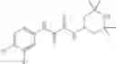 Fig. 49 - Small molecule CD4 mimetics and uses thereof