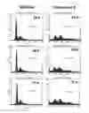 Fig. 04 - COMPOUNDS AND THERAPEUTIC USES THEREOF